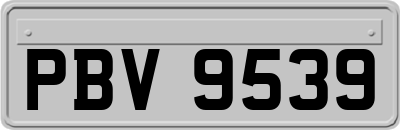 PBV9539