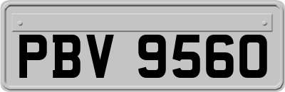 PBV9560