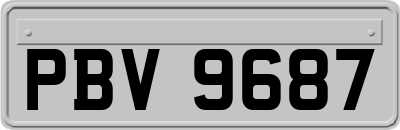 PBV9687