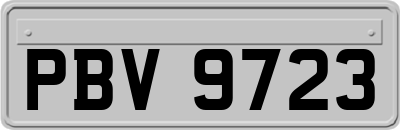 PBV9723