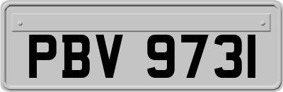 PBV9731