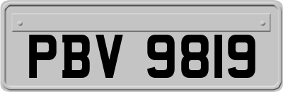 PBV9819