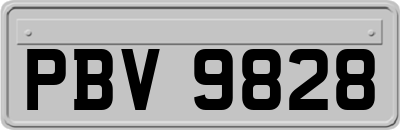 PBV9828