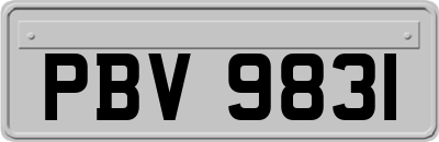 PBV9831