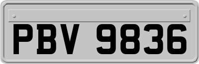 PBV9836