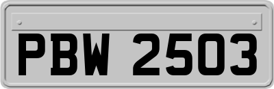 PBW2503