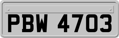 PBW4703