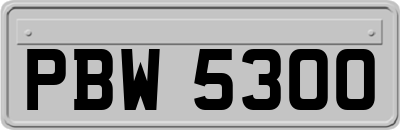 PBW5300