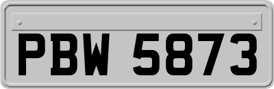 PBW5873