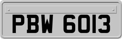 PBW6013