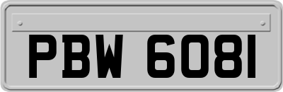 PBW6081