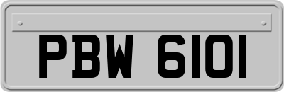 PBW6101