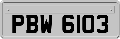 PBW6103