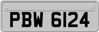 PBW6124