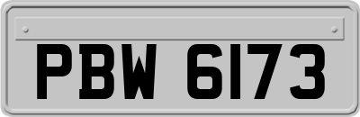 PBW6173