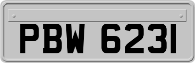 PBW6231