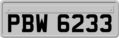 PBW6233