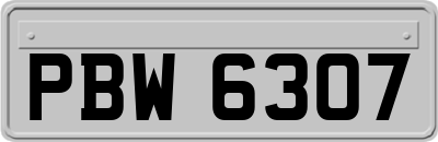 PBW6307