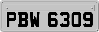 PBW6309