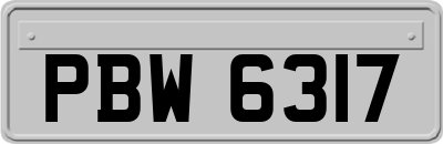 PBW6317