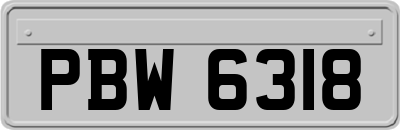 PBW6318