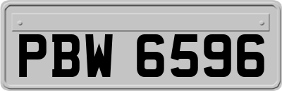 PBW6596