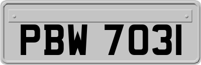 PBW7031