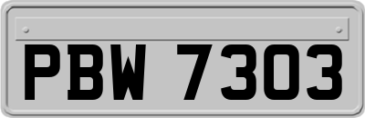 PBW7303