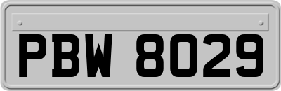 PBW8029