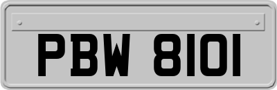 PBW8101