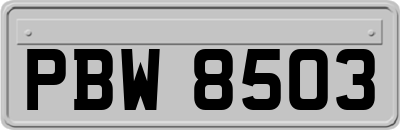 PBW8503