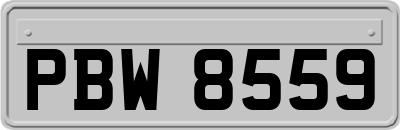 PBW8559