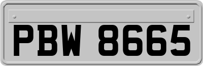 PBW8665