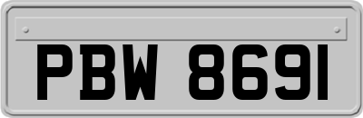 PBW8691