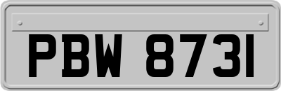 PBW8731