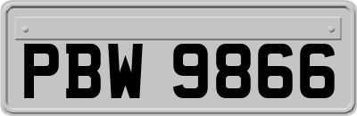 PBW9866