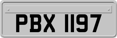 PBX1197