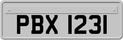 PBX1231