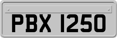 PBX1250