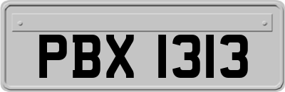 PBX1313