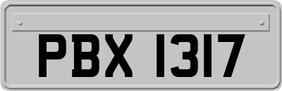 PBX1317