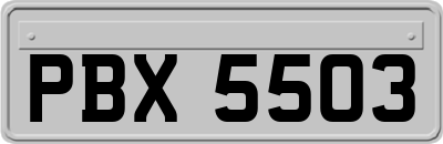 PBX5503