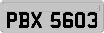 PBX5603