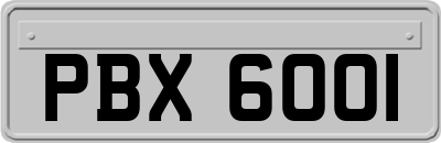 PBX6001