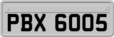 PBX6005