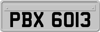 PBX6013