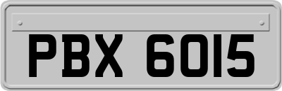 PBX6015