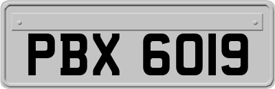 PBX6019