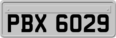 PBX6029