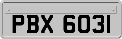 PBX6031